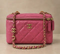 Chanel Pink Quilted Vanity Crossbody with Gold Chain